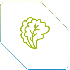 Hortifruti