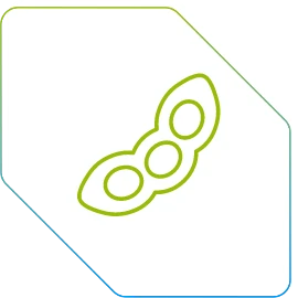 Soja