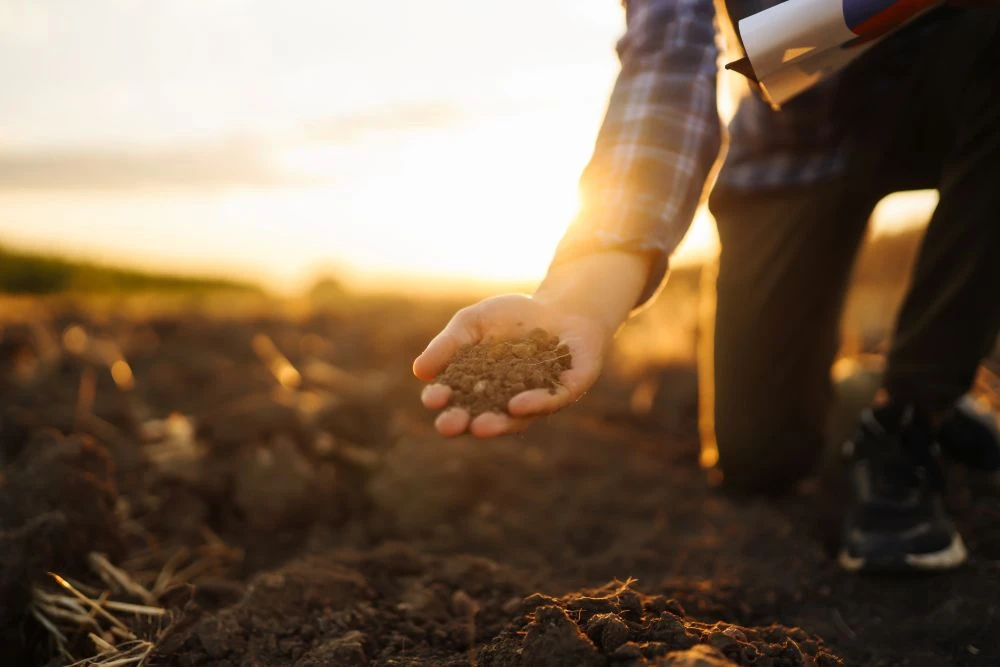 Avaliação da variação do pH em dois solos do Paraguai com a aplicação de diferentes doses de calcário dolomítico e de óxidos de Ca e Mg