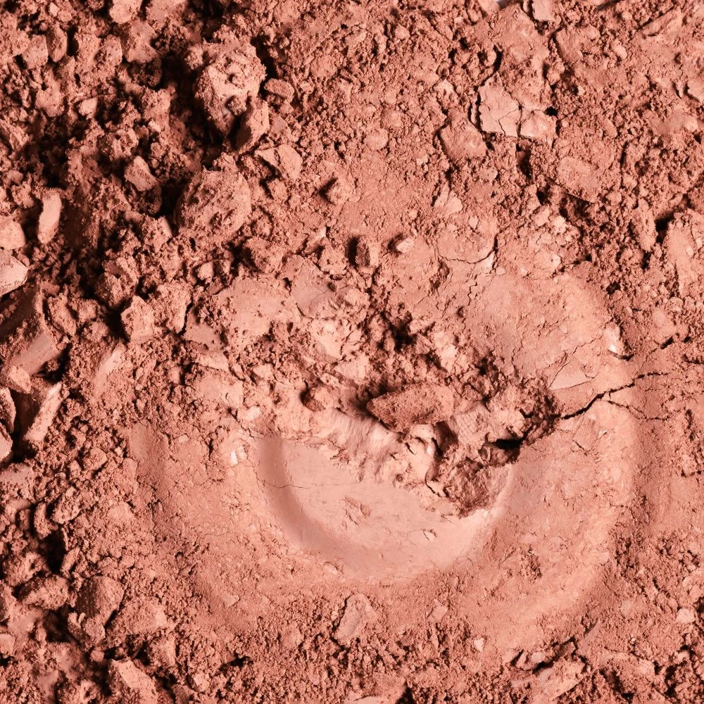 Universidade Estadual de Maringá – 2020