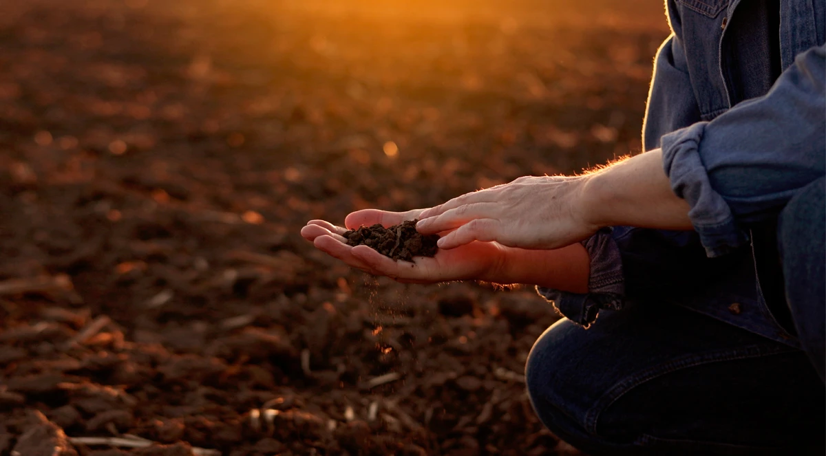 Fato ou boato: o uso de óxidos é maléfico para a biologia do solo?