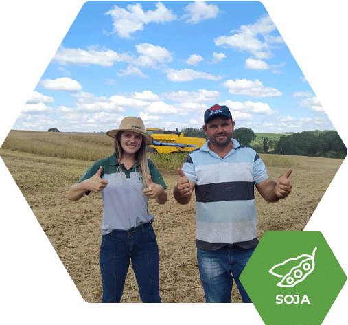 Aumento na soja AS3590