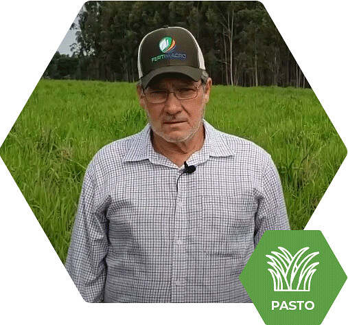 Pastagem tem aumento na Produtividade